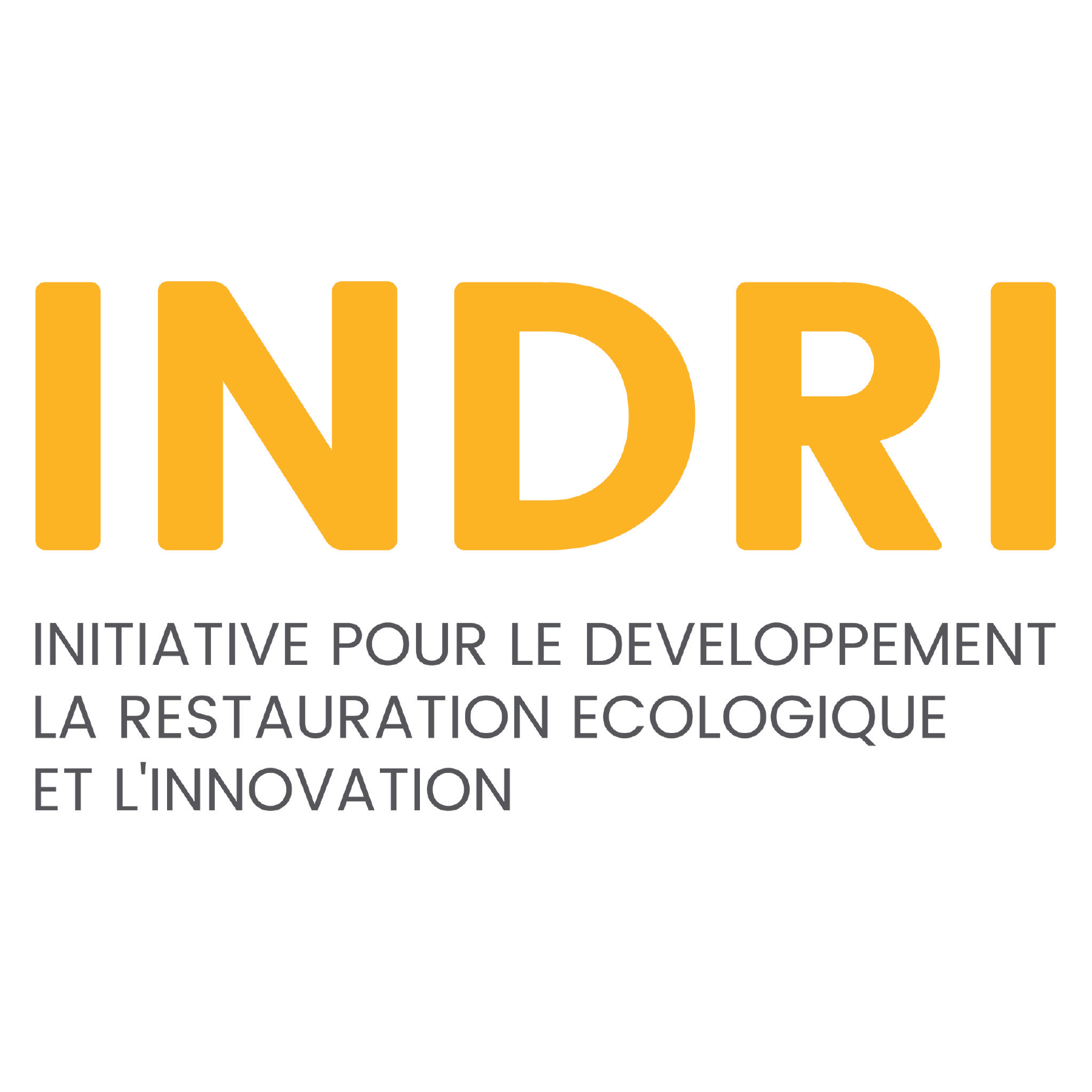 INDRI Logo